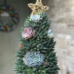 árbol de navidad de suculentas